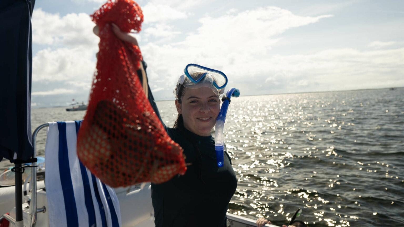 Where & When to Find Scallops in Crystal River - ScallopN'FL