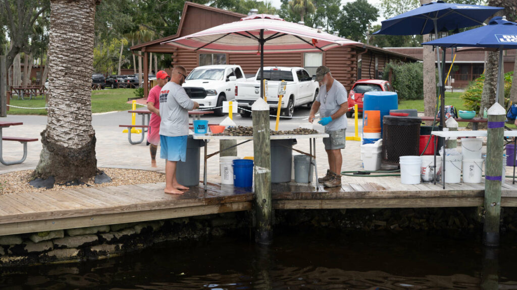 A picture of How To Clean And Cook Bay Scallops with ScallopN'FL