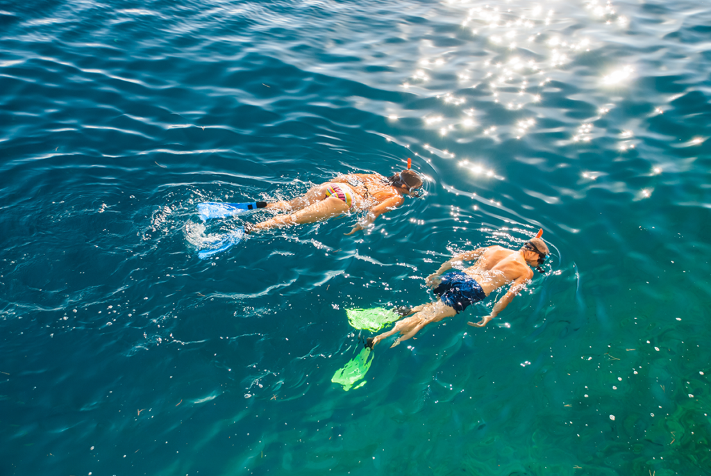 A picture of Hiring A Scalloping Guide in Homosassa with ScallopN'FL